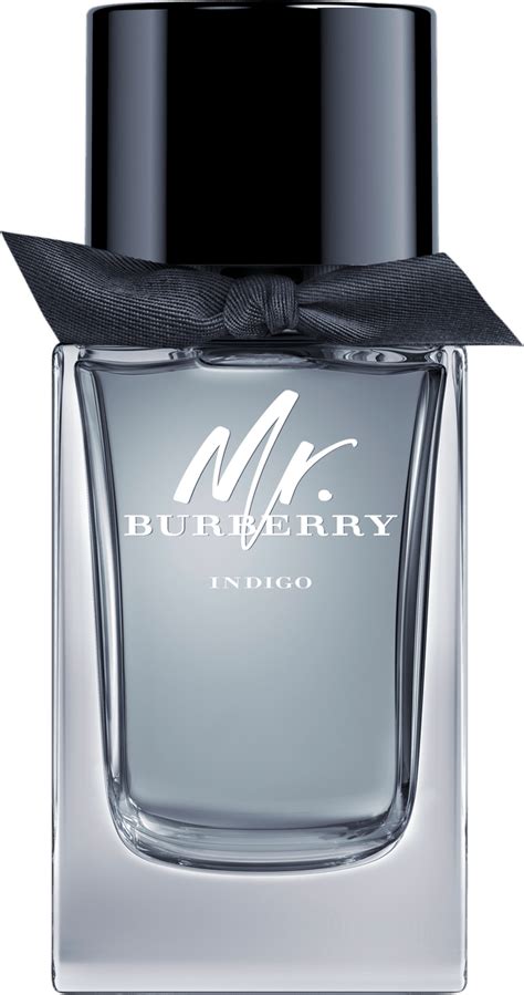 mr burberry toilette 100ml indigo|mr Burberry eau de toilette.